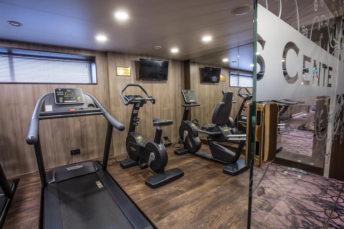 MS VIVA MOMENTS- Fitnessbereich