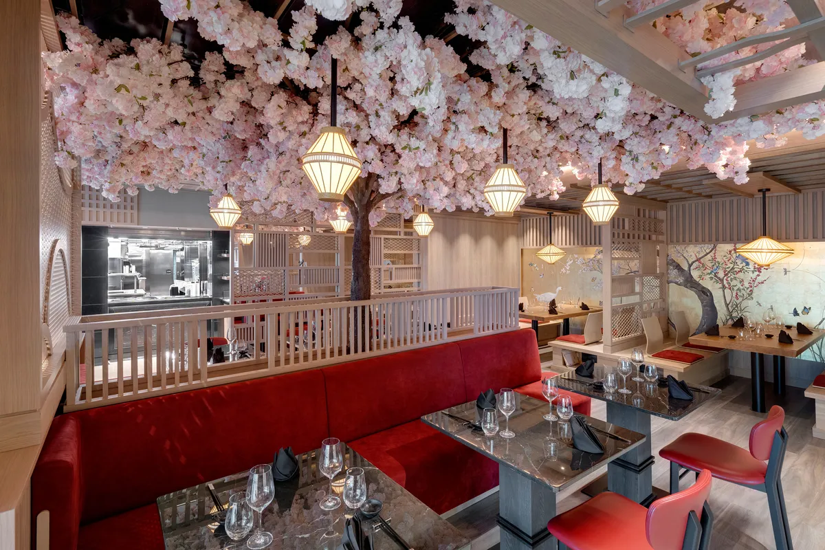 EXPLORA 2 - Sakura Restaurant