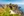 Aberdeen (Vereinigtes Königreich)