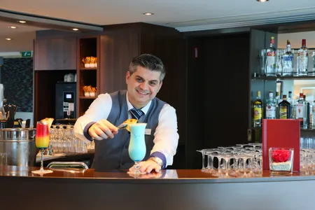 MS VistaNeo Bar Service