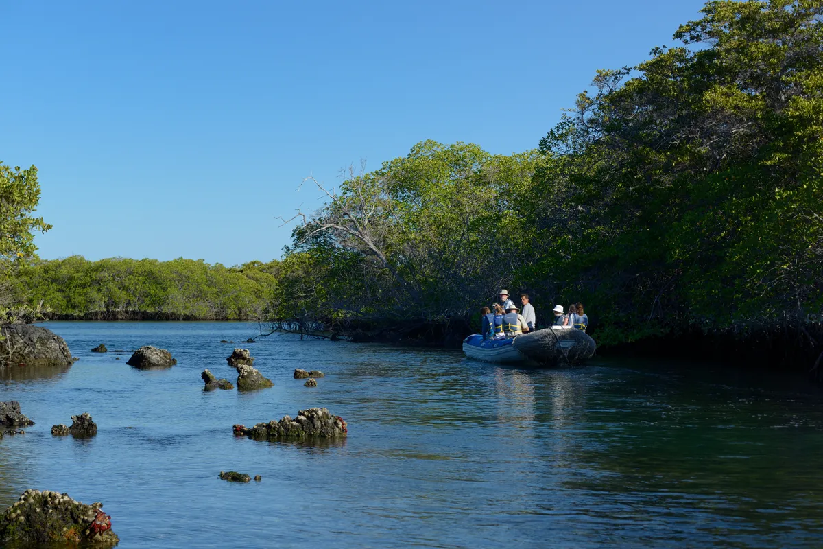 Ilhabela (Brasilien)