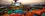 Carnival Freedom- Carnival Seaside Theatre