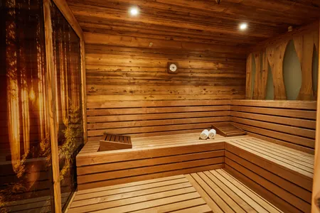 MS Europa 2 Sauna