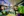 Gaming Raum