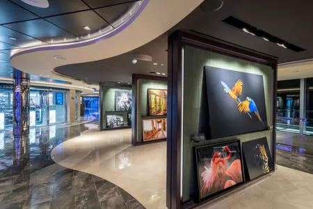 MSC Seashore Kunstgalerie