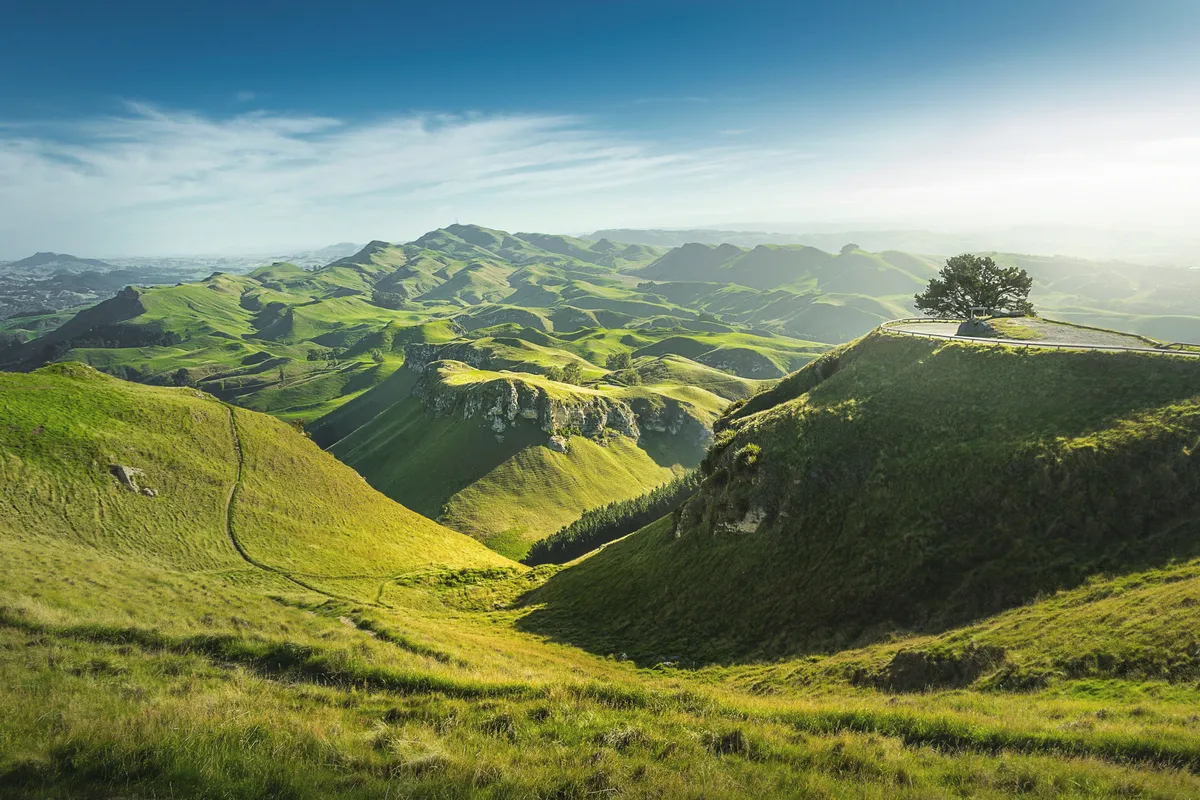landschaft von te mata peak in napier (neuseeland)