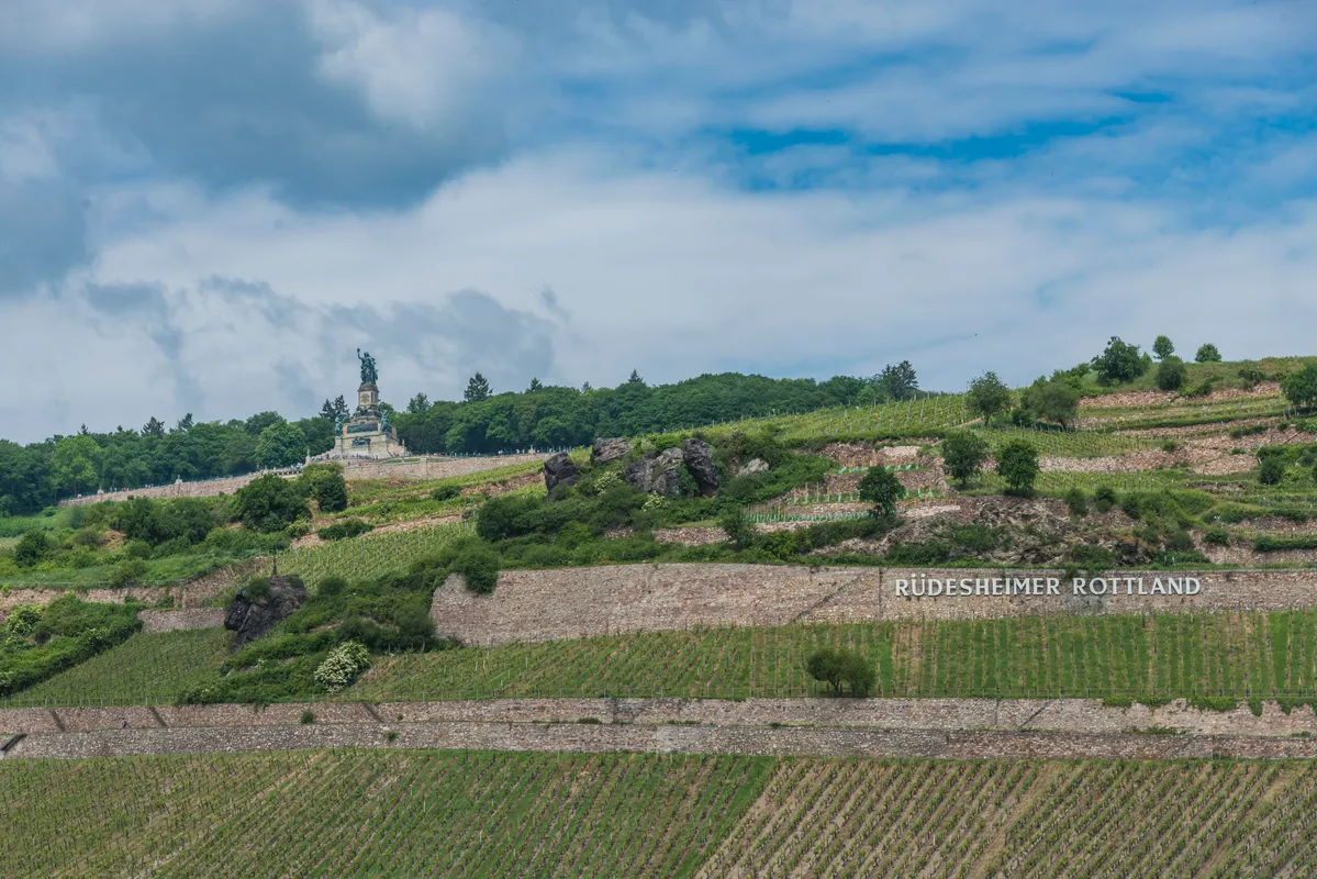 Bild des Hafenstopps Rüdesheim am Rhein